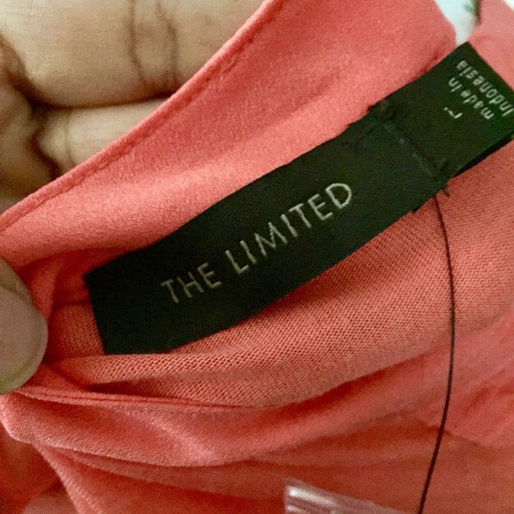 Coral Camisole from The Limited - Picture 6 of 8